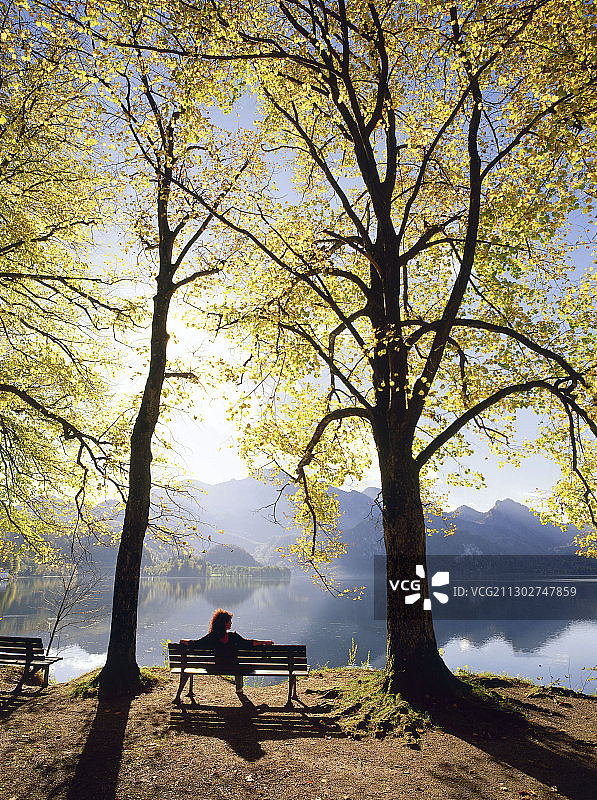 坐在公园长椅上的女人，后视图，Kochelsee，上巴伐利亚，德国图片素材