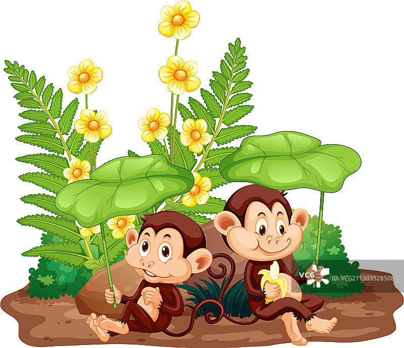 可爱的猴子在花园里的场景图片素材