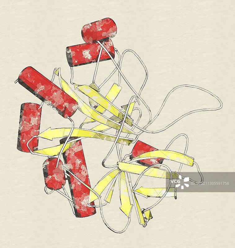 凝血酶酶分子，插图图片素材