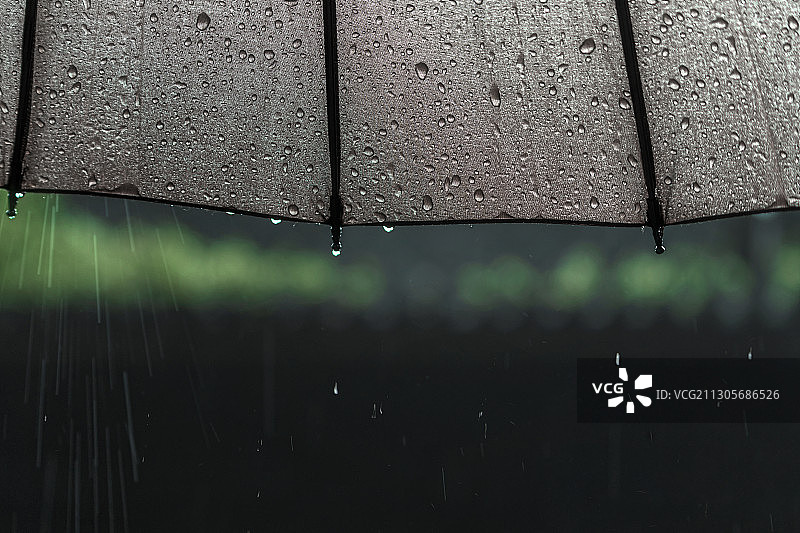 江南梅雨季节伞下的雨滴图片素材