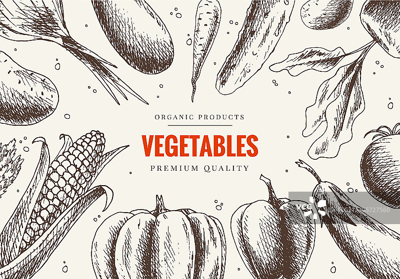 手绘蔬菜市场有机菜单设计图片素材