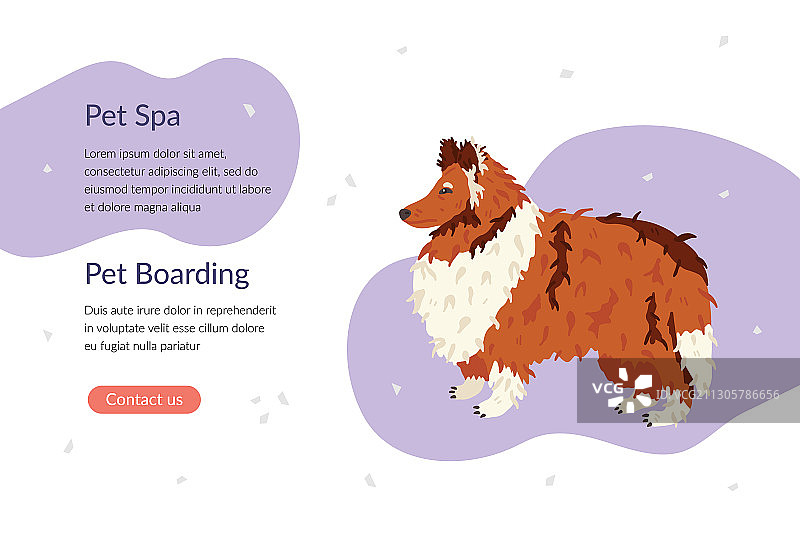 宠物spa和宠物登机登陆页面模板图片素材