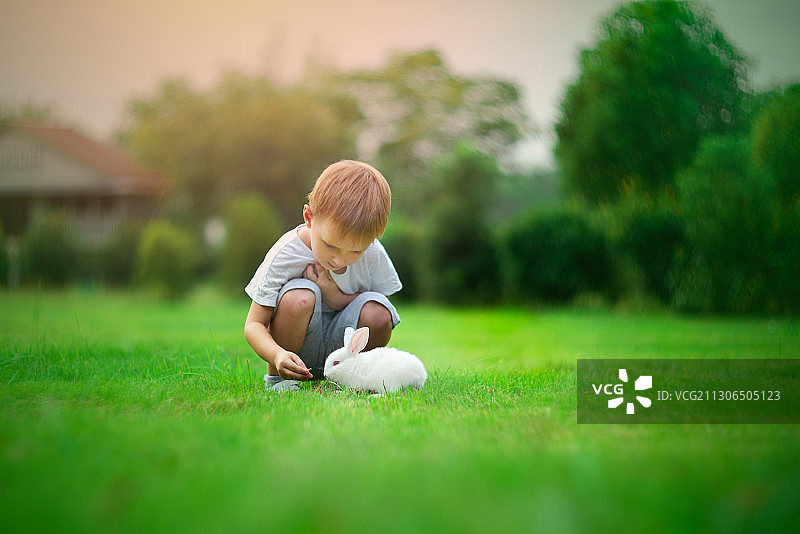 可爱的小男孩在草地上玩兔子，中国浙江图片素材
