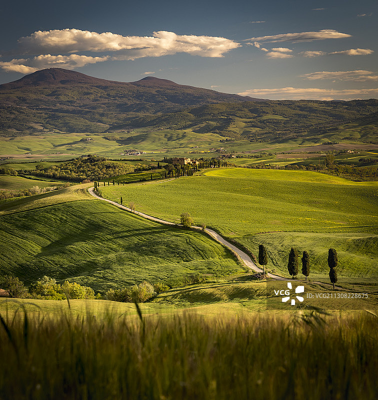 意大利皮恩扎角斗士路，天空映衬下的农田风景图片素材