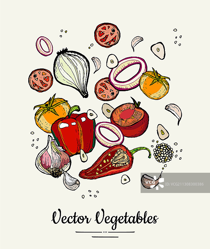 蔬菜孤立手绘图片素材