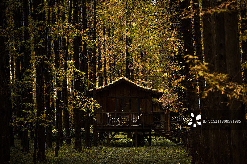 森林木屋。掩映在黄海国家森林公园里供游人休闲的小木屋。图片素材