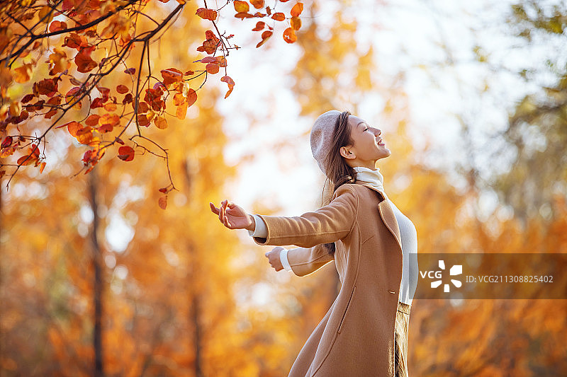 年轻女子伸展双臂拥抱秋色图片素材