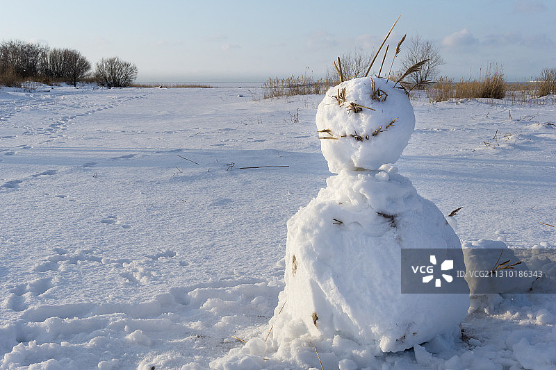 爱沙尼亚，白雪覆盖的田野映衬着天空图片素材