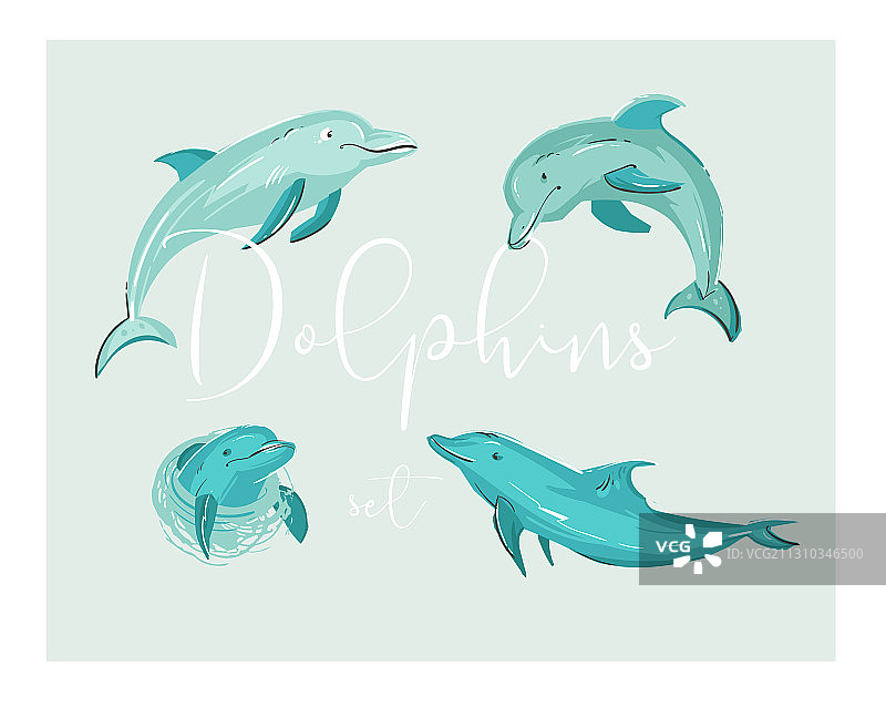 手绘卡通热带海豚图片素材