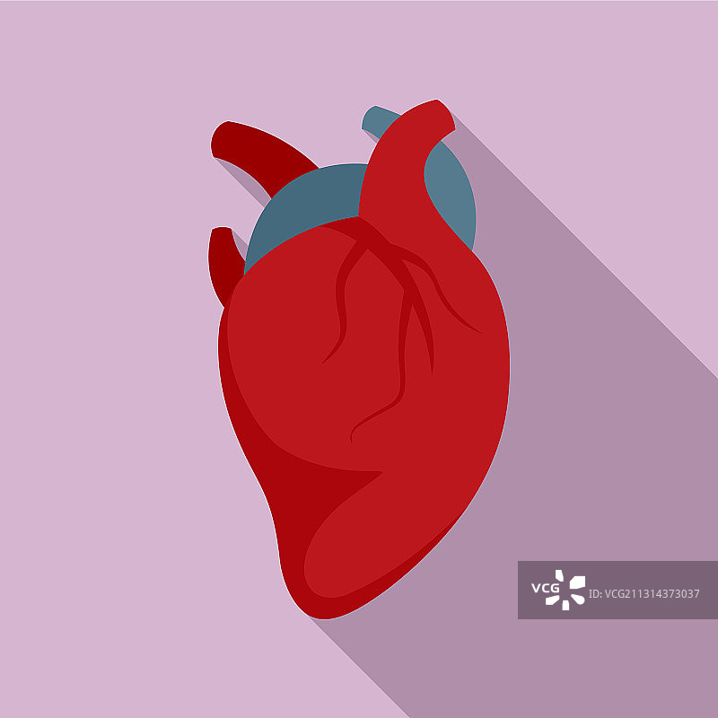 人体人体心脏图标平面风格图片素材