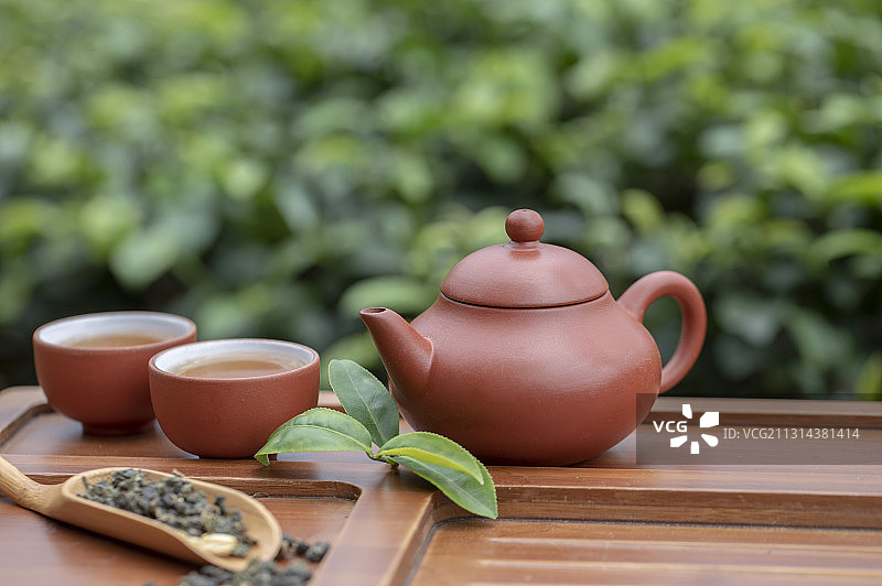 在茶园旁品茗着中国茶壶和茶杯富有禅意图片素材