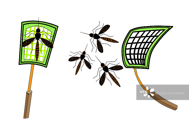 蚊子和苍蝇拍隔离在白色图片素材