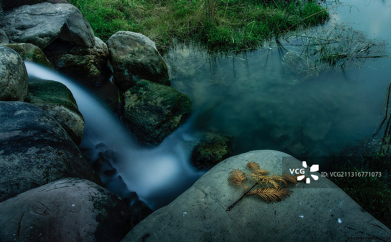 长沙洋湖湿地公园秋色图片素材