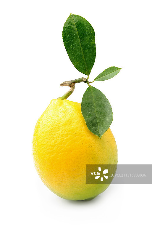 特写的柠檬对白色的背景图片素材