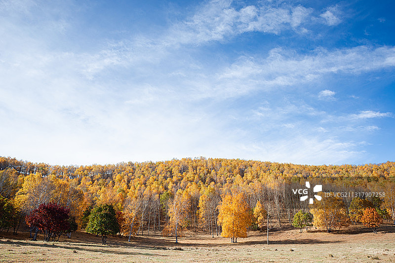 内蒙古乌兰布统草原秋季自然景观图片素材