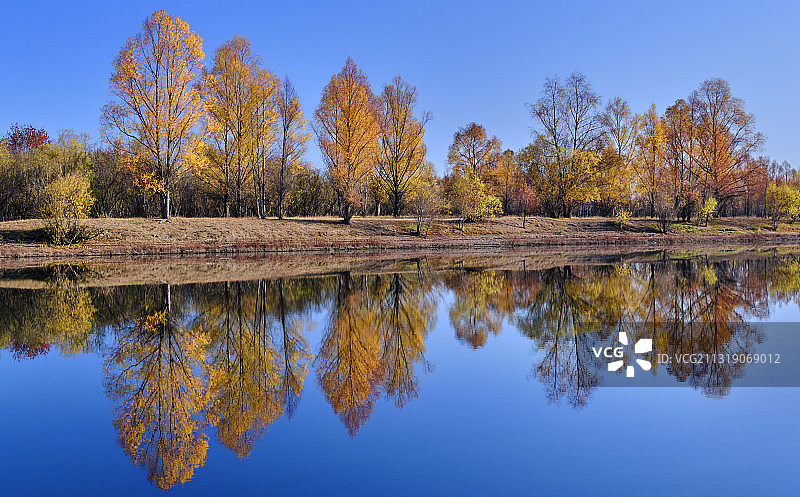 中国内蒙古额尔古纳湿地公园秋天风光图片素材