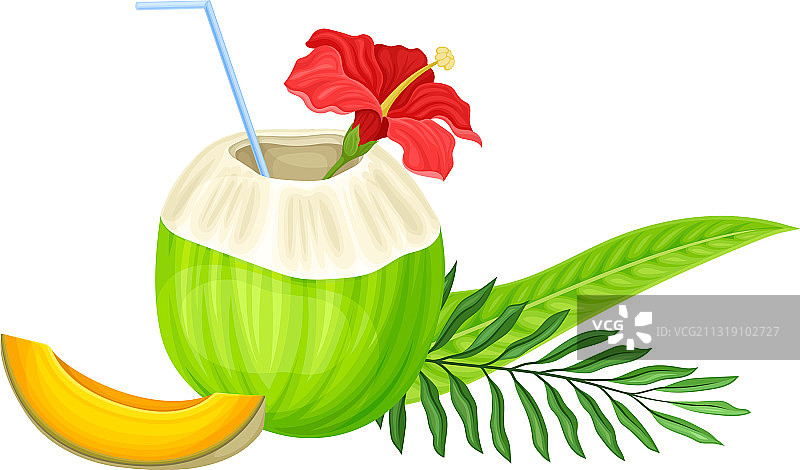 用稻草和棕榈叶制成的椰子鸡尾酒图片素材