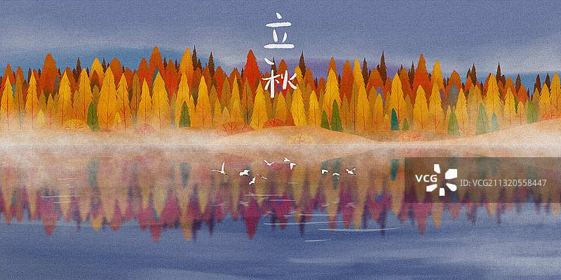 秋天，一群白鹭飞过河上的树林图片素材