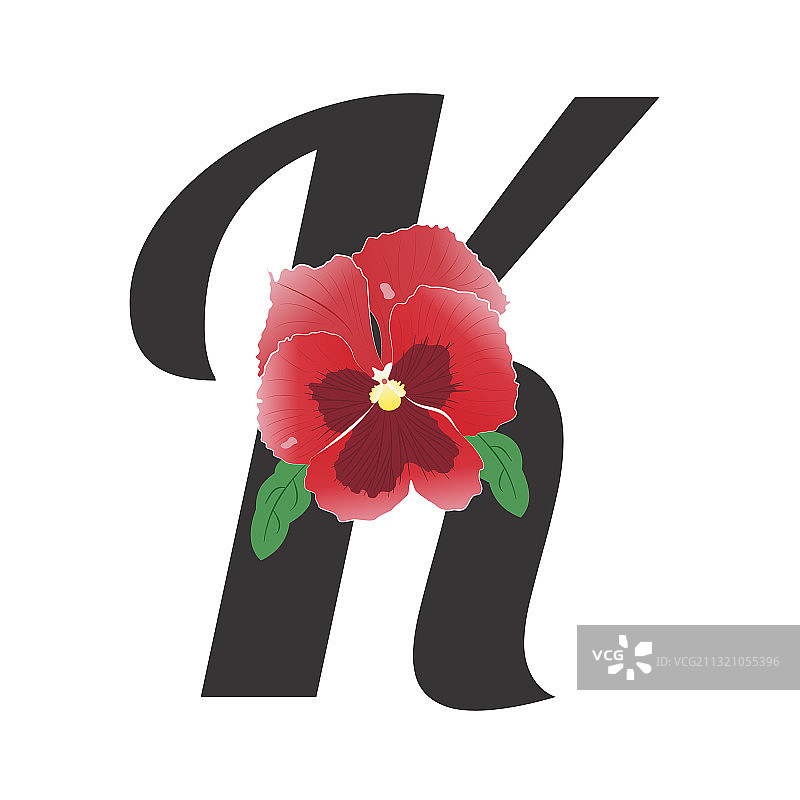 字母k，单朵红色堇型花图片素材