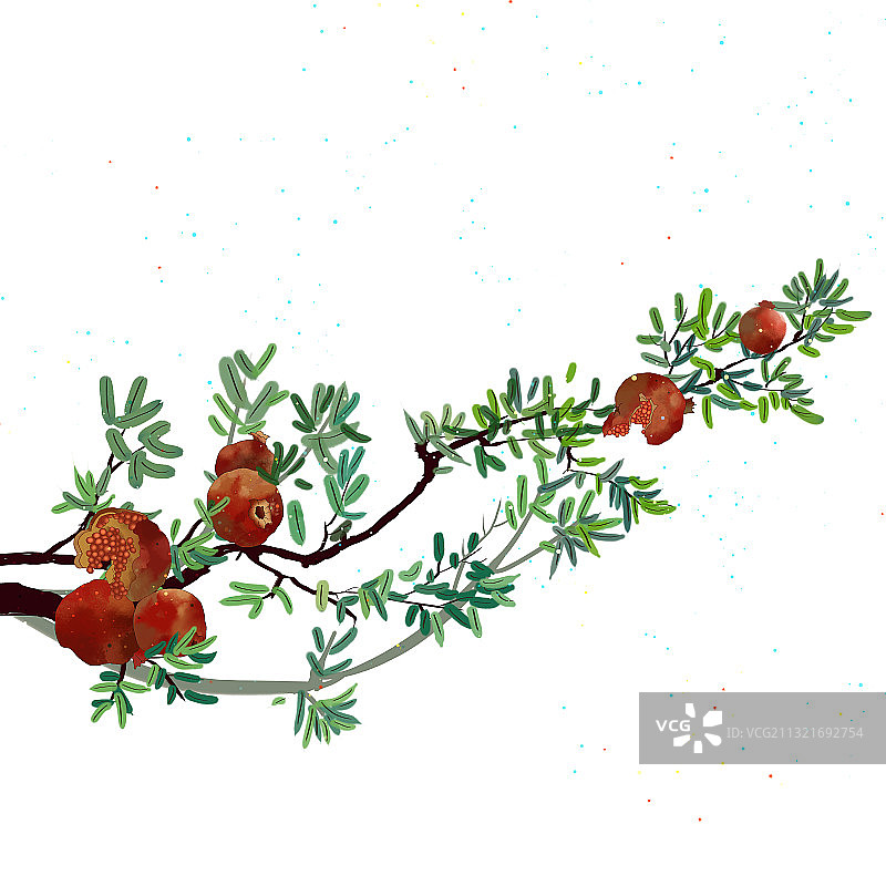 中国风国画 停留在石榴树枝上的小鸟图片素材