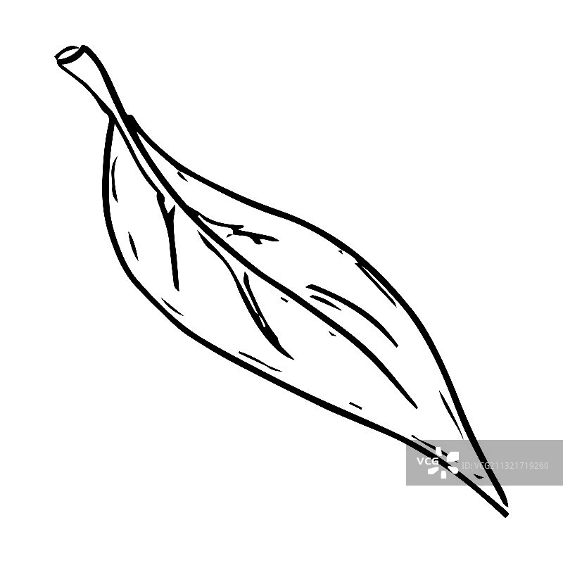 树叶的图标是一个树叶手绘的树叶图片素材