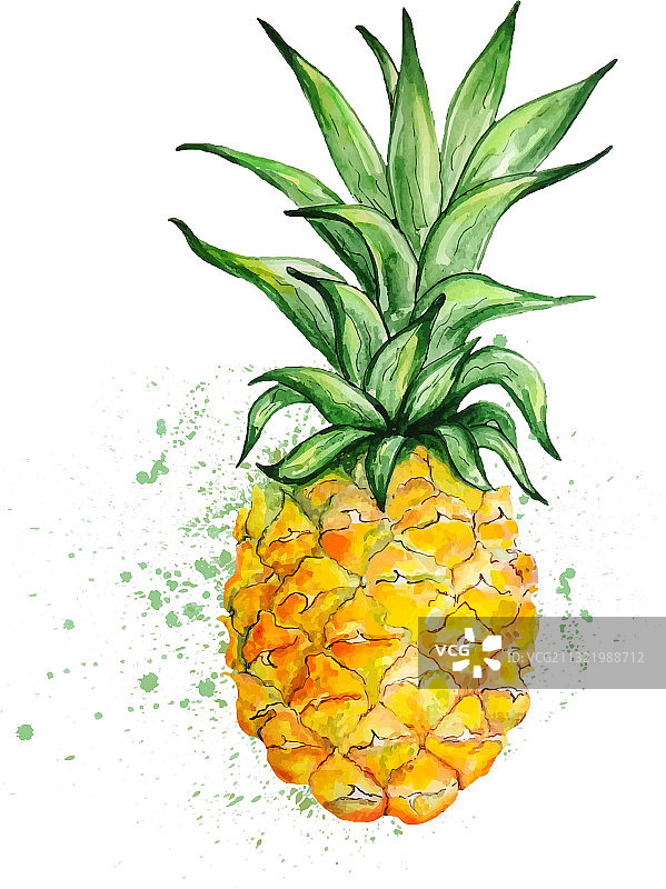 水彩黄色菠萝叶图片素材