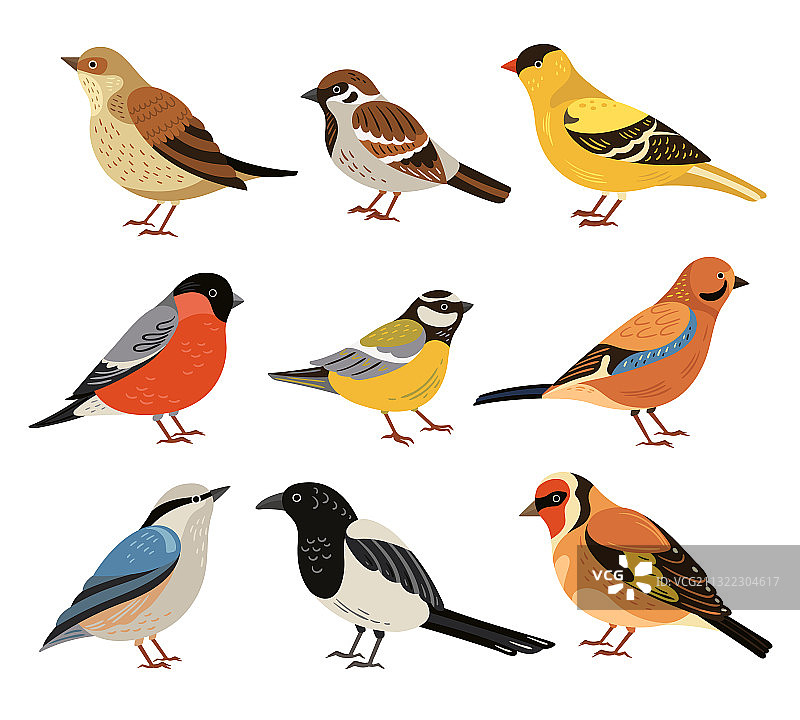 冬季鸟类隔离野鸟卡通图片素材