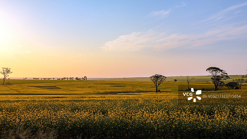 日落时的田野风景，珀斯，西澳大利亚，澳大利亚图片素材