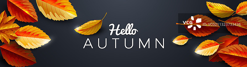 秋天的季节背景用树叶装饰图片素材