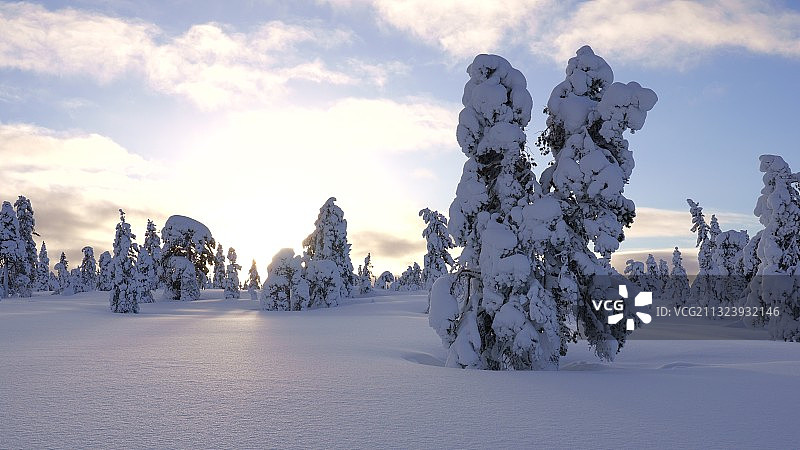 白雪覆盖的风景映衬着树木图片素材
