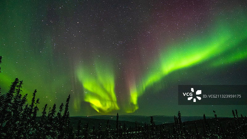 低角度的北极光对天空在晚上，费尔班克斯，阿拉斯加，美国，美国图片素材