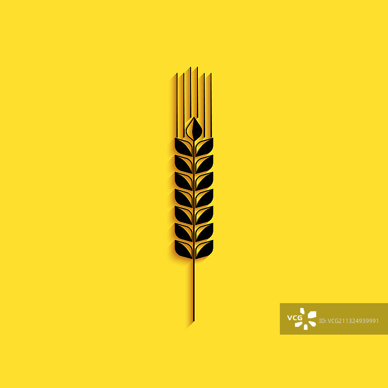 黑色谷物图标设置水稻小麦玉米图片素材