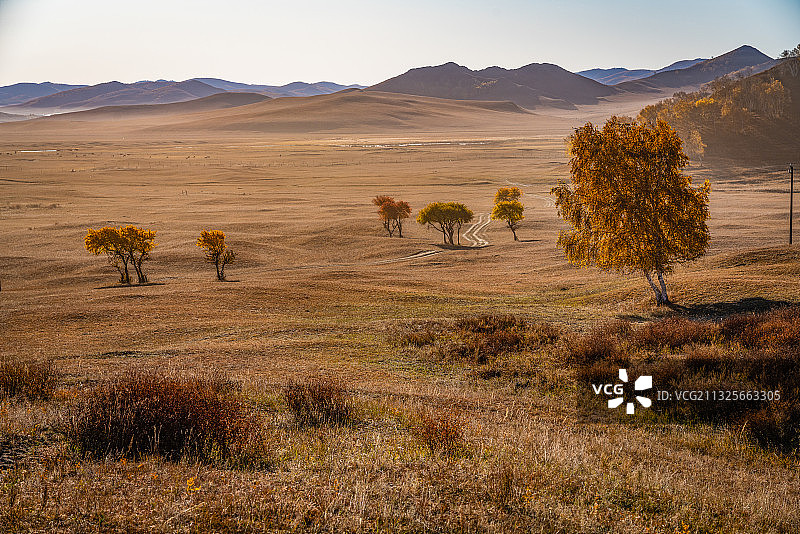 秋季乌兰布统草原风光图片素材
