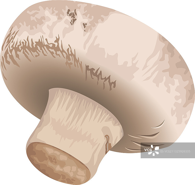 新鲜蘑菇蔬菜的健康图标图片素材