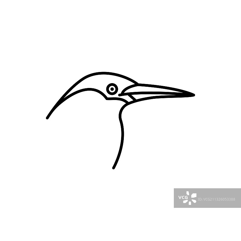 鸟类种类线图标孤立在白色图片素材