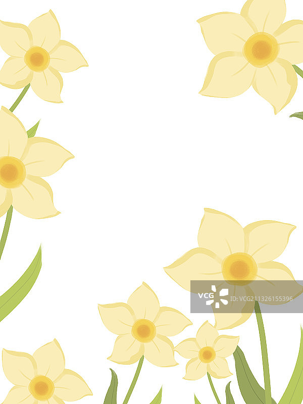 水仙花单品花卉相框壁纸纹理印花素材元素插画图片素材