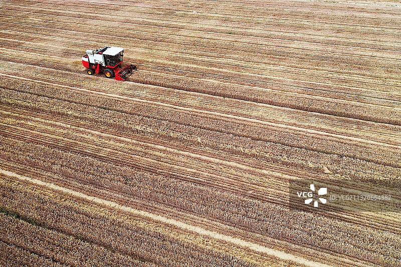 山东枣庄山亭区农民驾驶联合收割机在田间收获小麦图片素材
