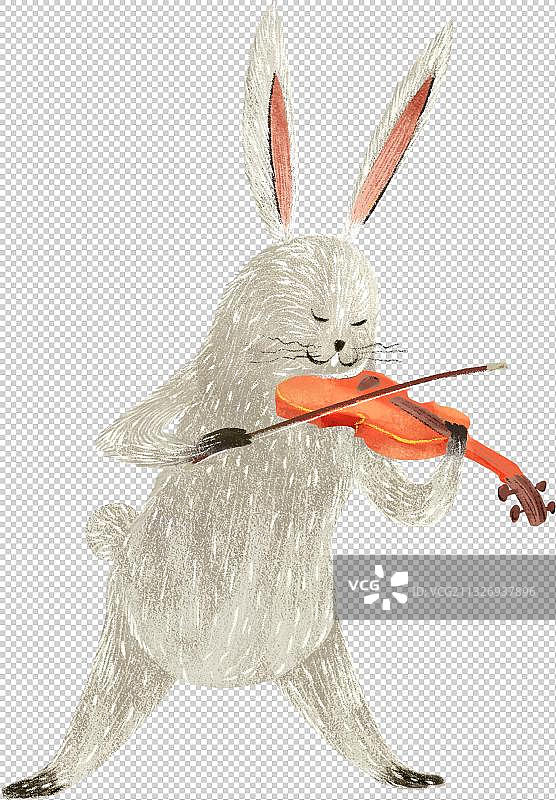 拉提琴的兔子图片素材