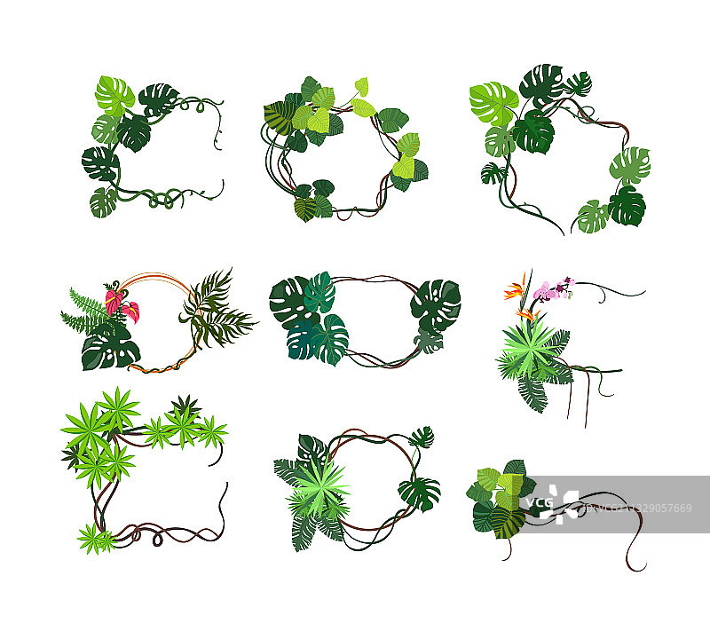 丛林植物框架平面图标设置图片素材