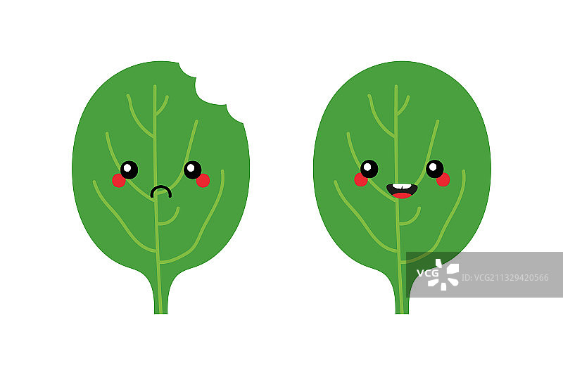 绿色的菠菜叶子人物快乐和悲伤图片素材