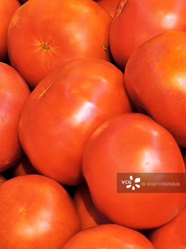 西红柿 超市上新图片素材