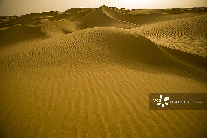 新疆塔克拉玛干沙漠图片素材