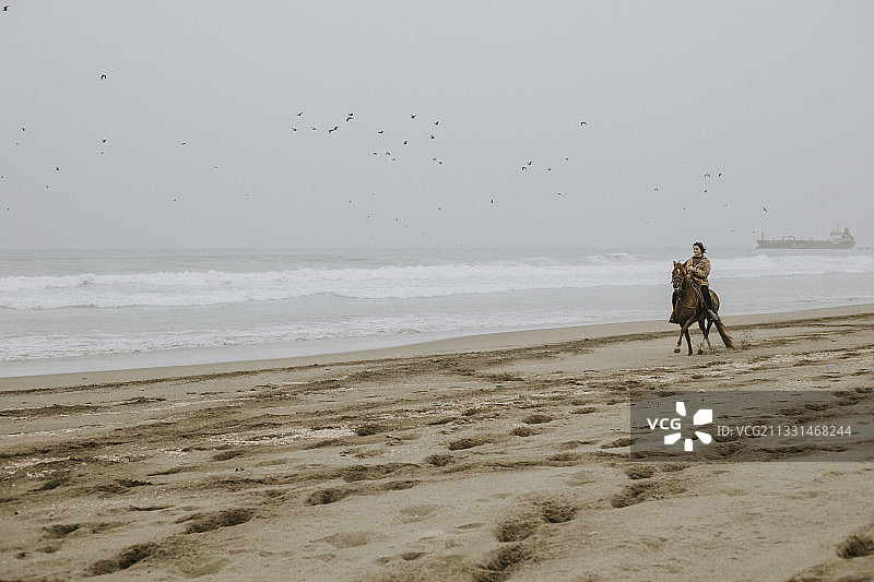 沿着海滩骑马的女人图片素材