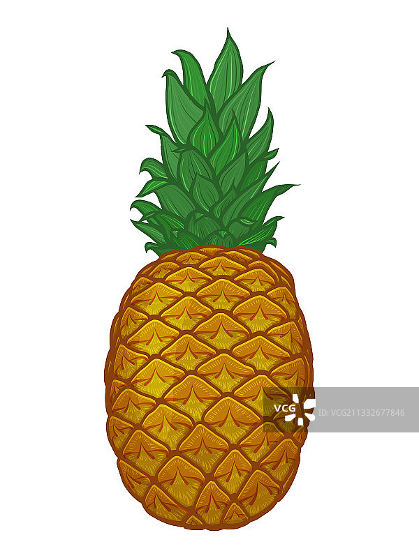 卡通菠萝孤立图片素材