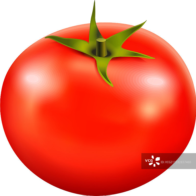 干净健康的番茄设计图片素材