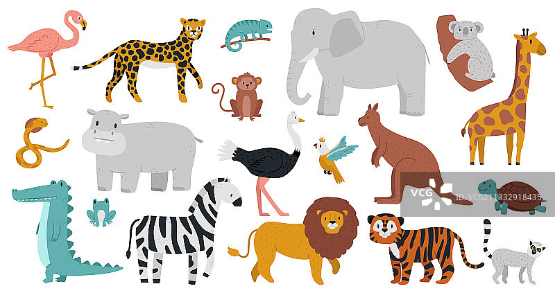 可爱的非洲动物，森林丛林或热带草原图片素材