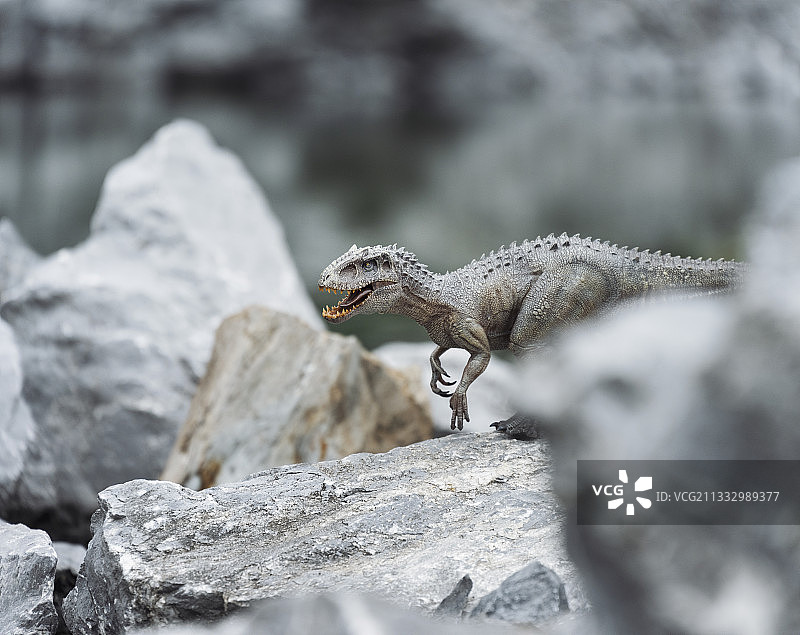 侏罗纪公园河边乱石堆沙滩食肉恐龙暴虐龙迅猛龙图片素材