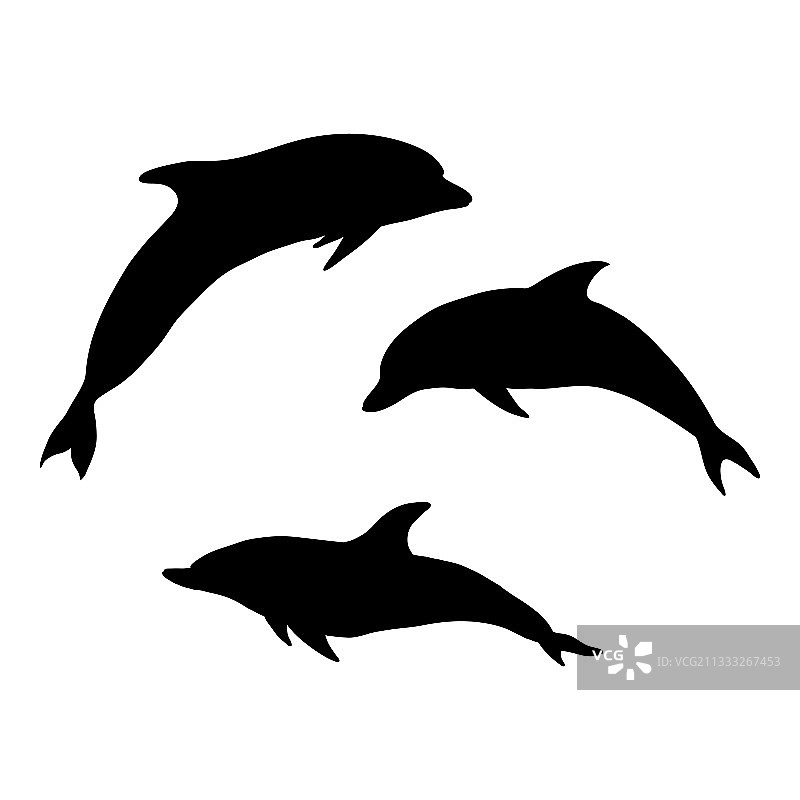 设置sulhouette海豚图片素材