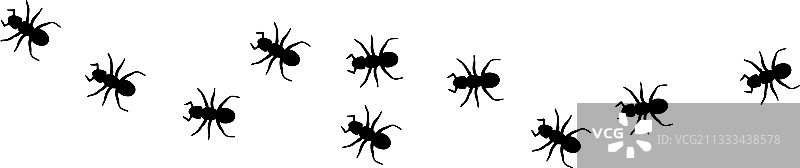 蚂蚁图标孤立在白色背景图片素材