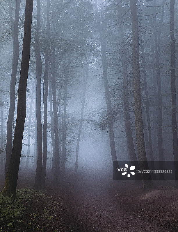 德国黑森市罗特塔尔市奥登瓦尔德市夏季费森米尔的晨雾图片素材